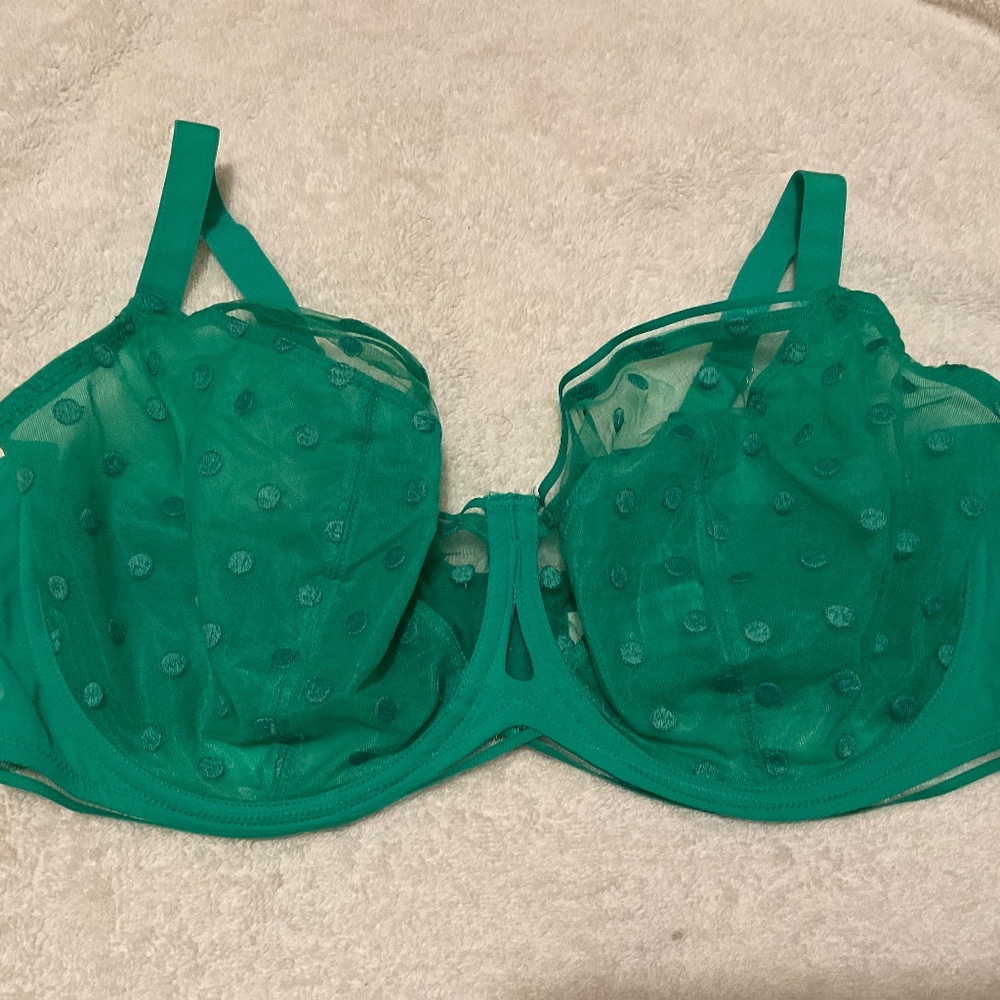 Curvy Kate green bra